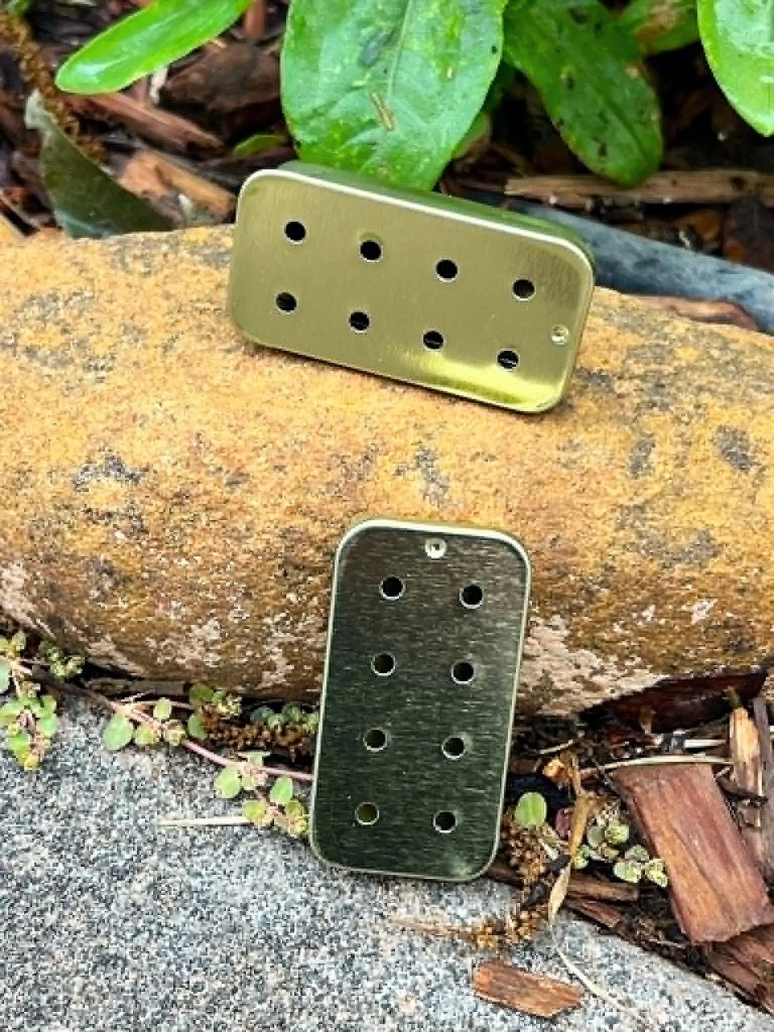 Gold metal slider tin with eight holes for dog scent work and nose work activities.