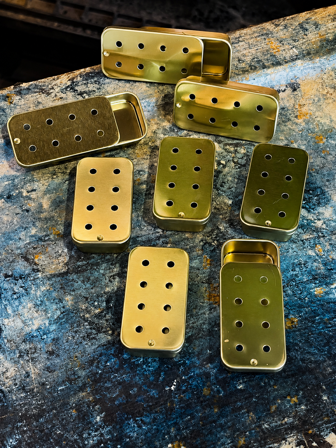 Slider tins with eight holes for K9 Nose Work