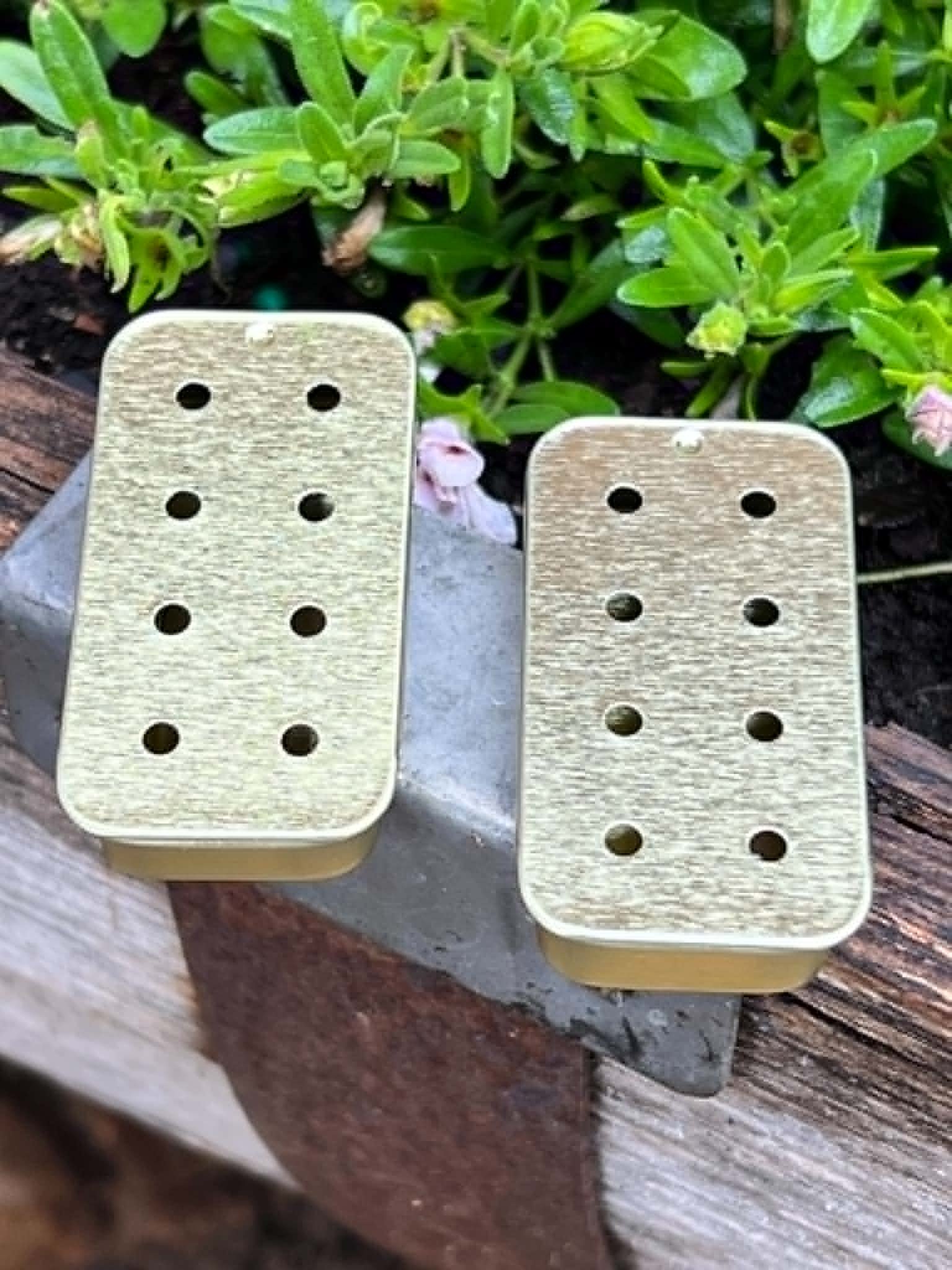Gold magnetic slider tin with eight holes for scent work and nose work hides