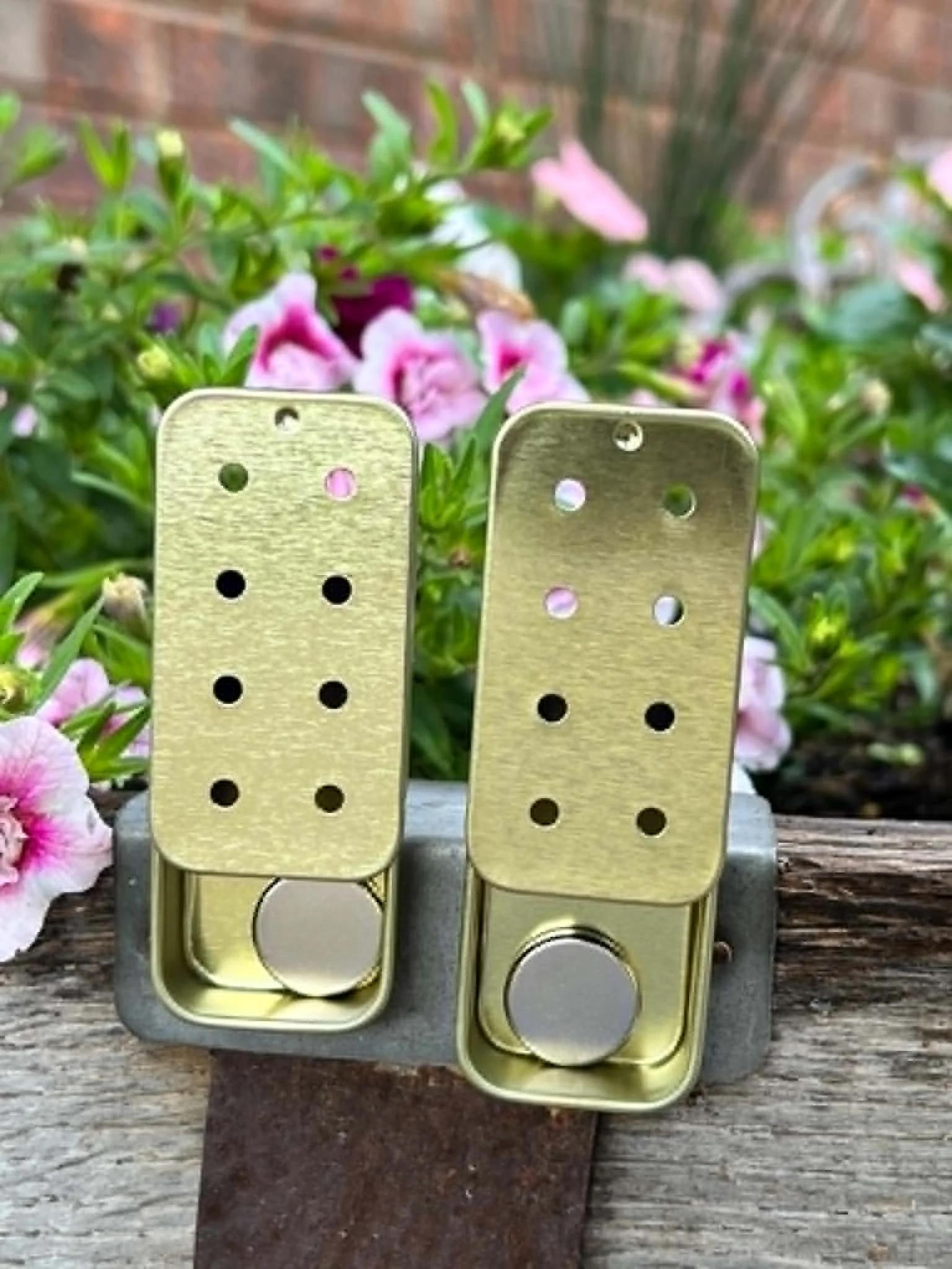 Gold eight-hole odor tin for scent work handlers and canine nose work enthusiasts.