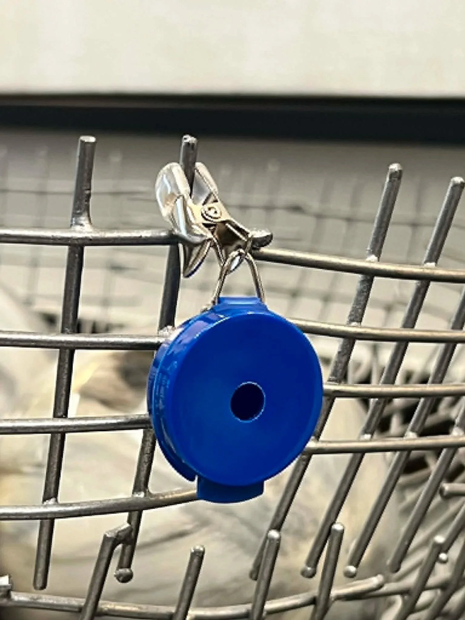 Blue Whiff Disc™ Hanging Hide used for elevated odor placement practice
