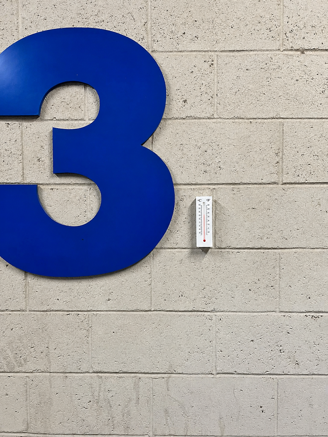 Wall-mounted scent work container for elevated nose work and odor searches