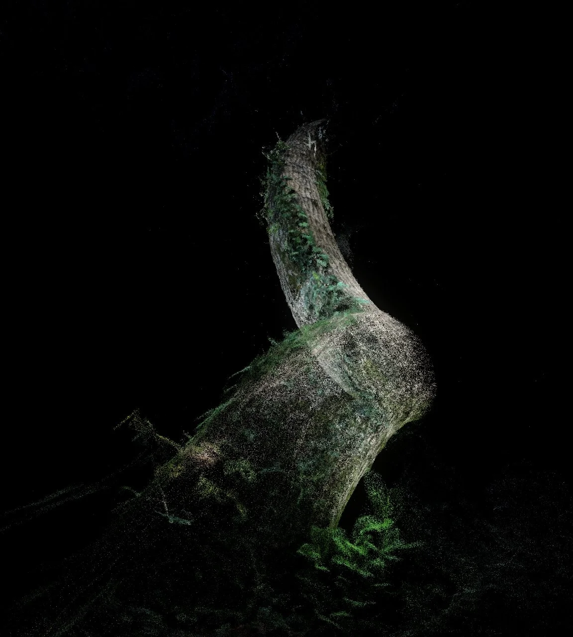 'Land Between Lakes' - 2026