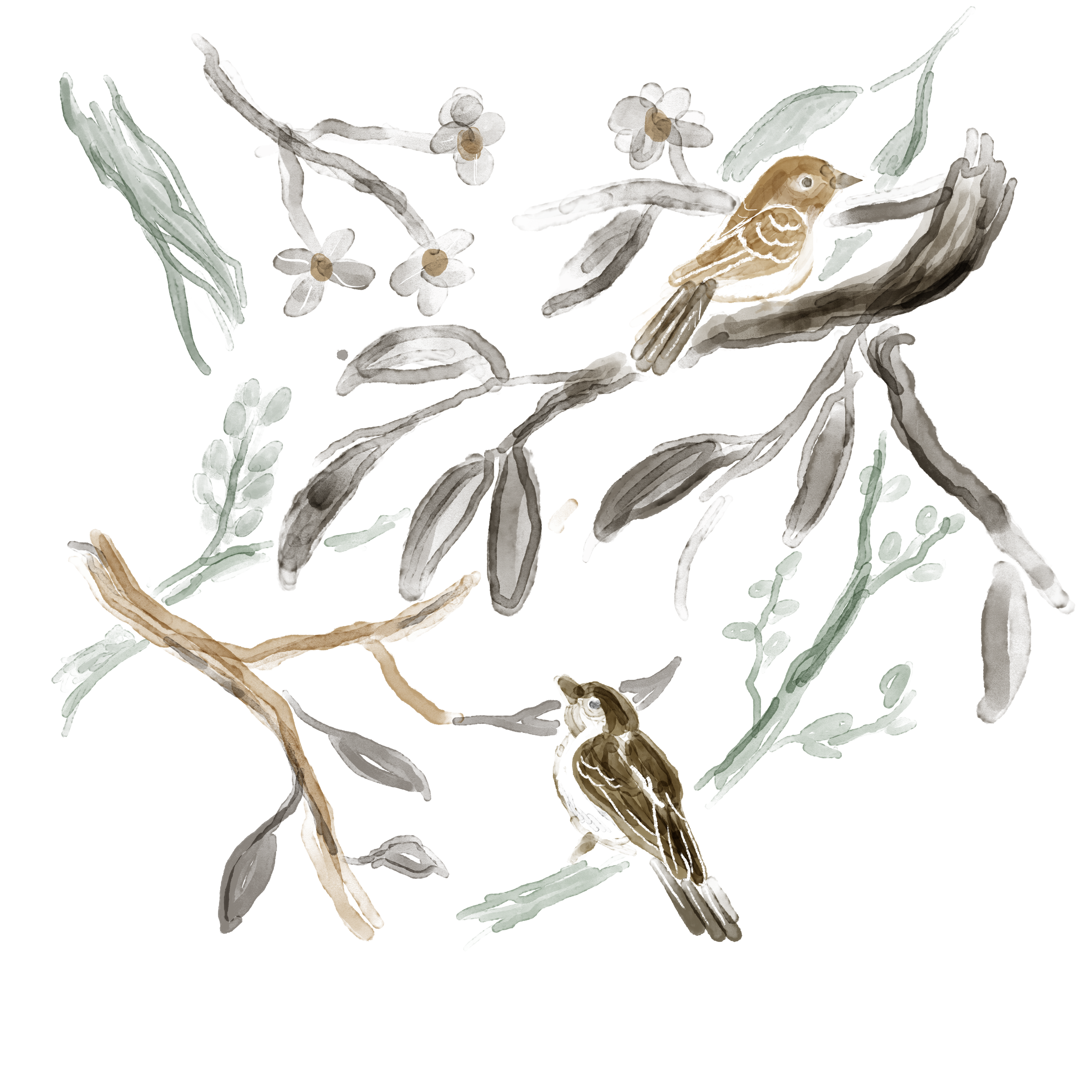 Untitled (7).png