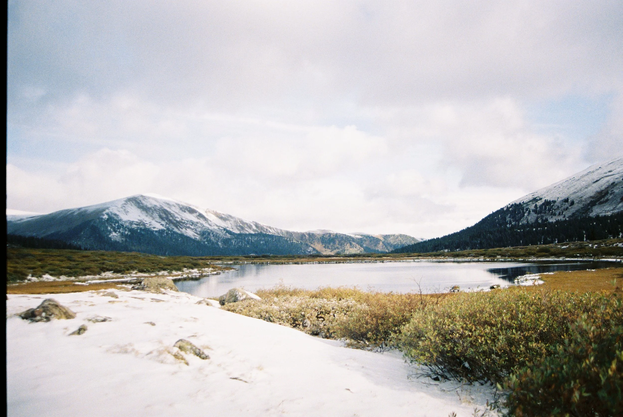 5AC87732-B987-4DD8-8E3E-E518AA23DBEA.JPG.jpeg