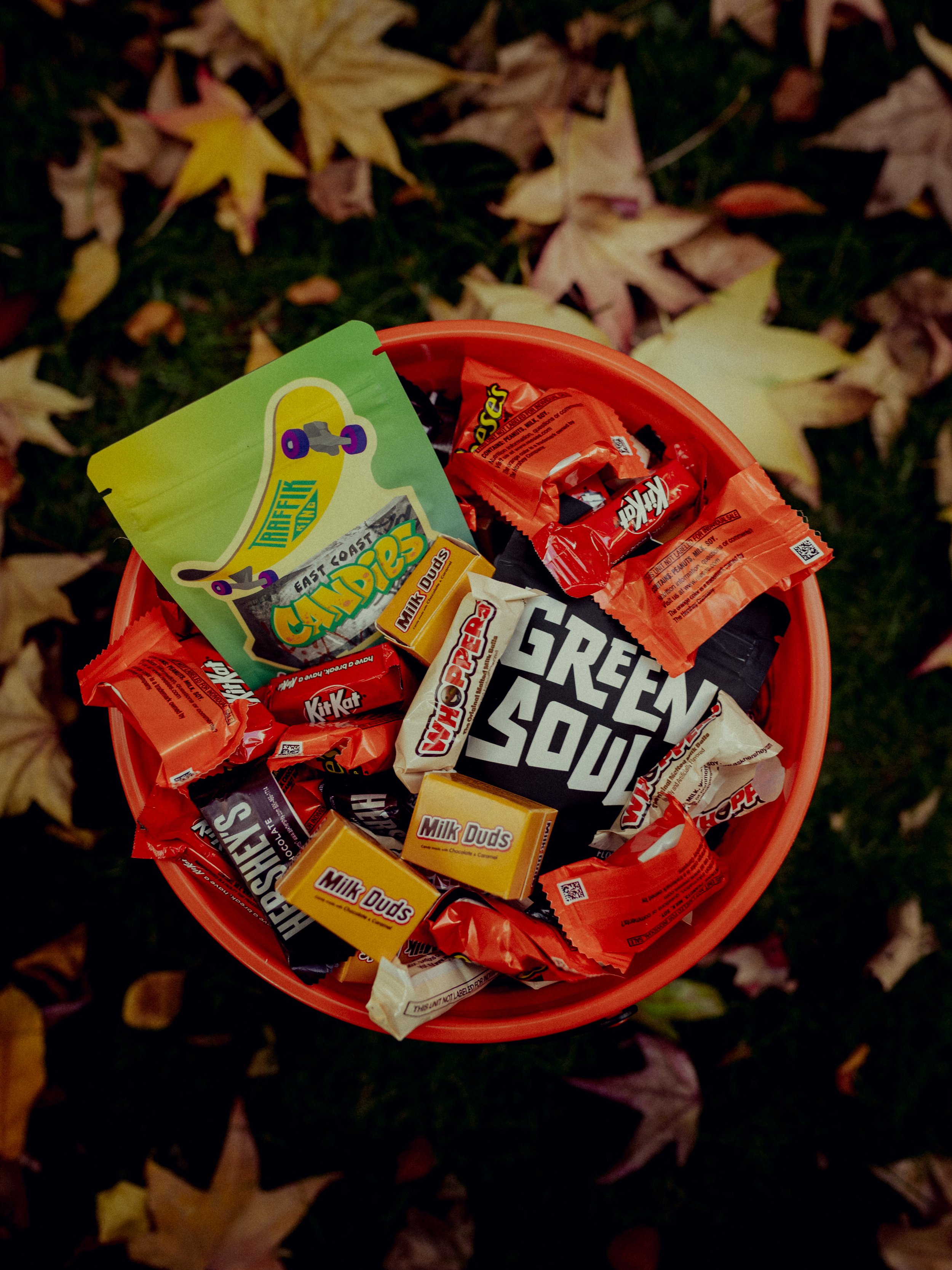 greensoul 3 test-1.jpg