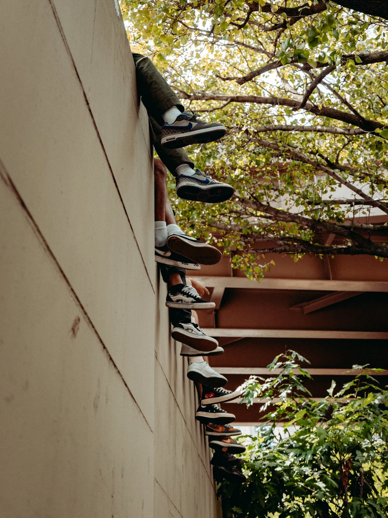 vans web-42.jpg