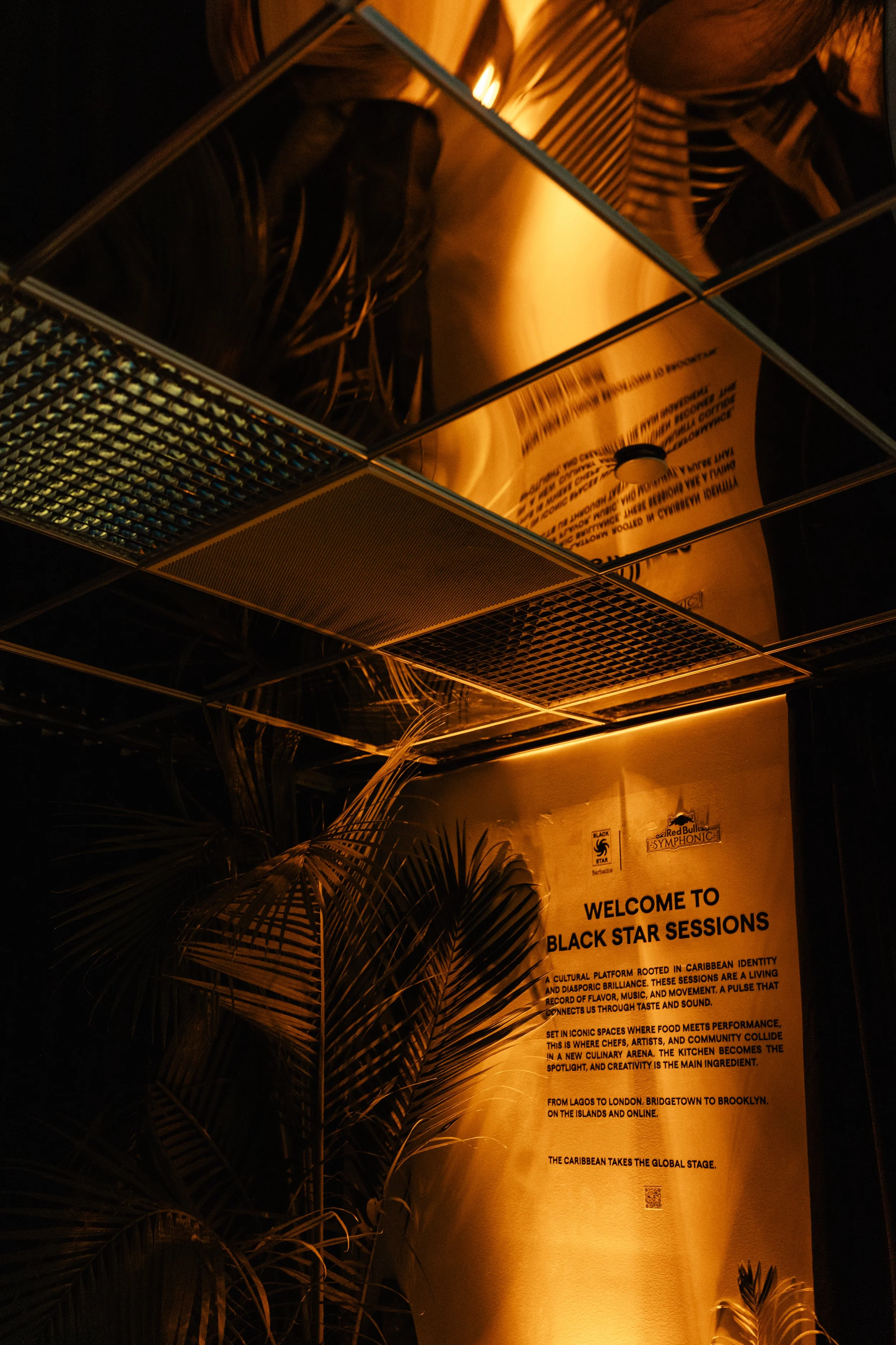 FN_RB_BLASK STAR SESSIONS DINNER_NYC_251106-6.jpg