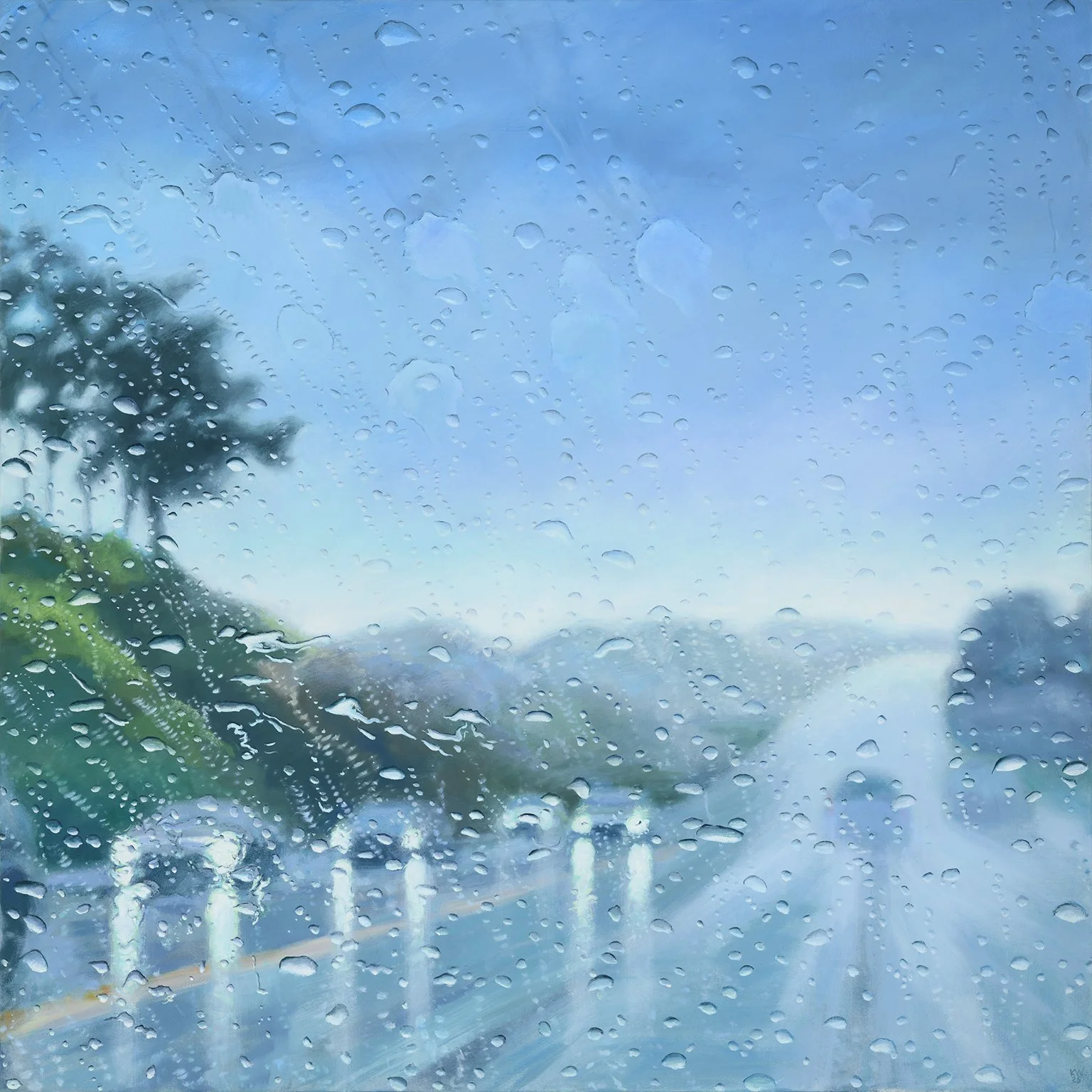 rainy road with cars