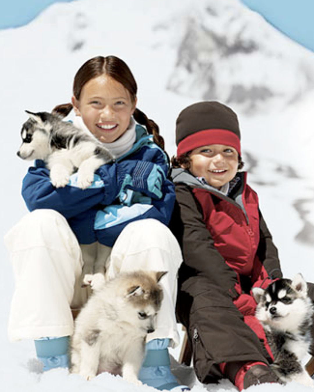 Portfolio Cover Image (1).png
