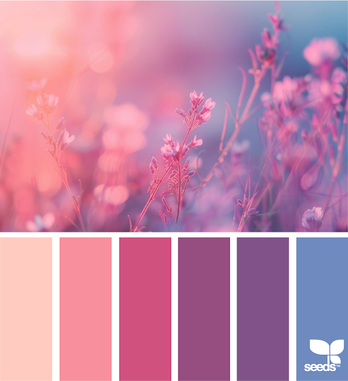 Color Nature