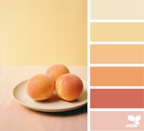 Color Serve