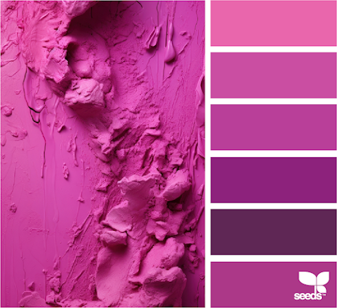 Fuchsia Palette