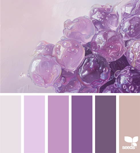 Fresh Hues