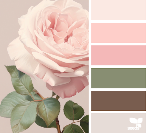 Rose Palette
