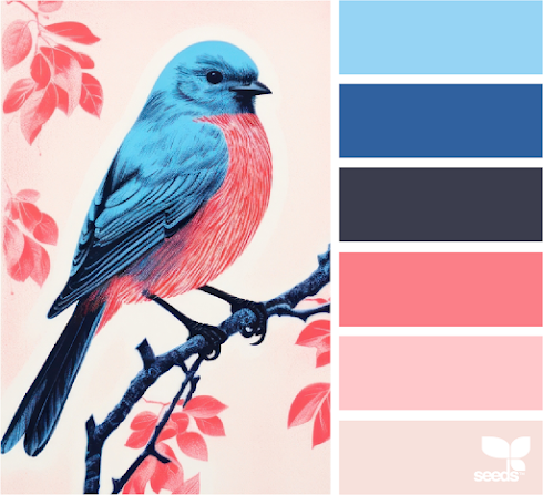 Color Chirp