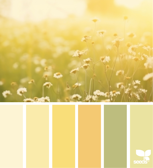 Summer Tones