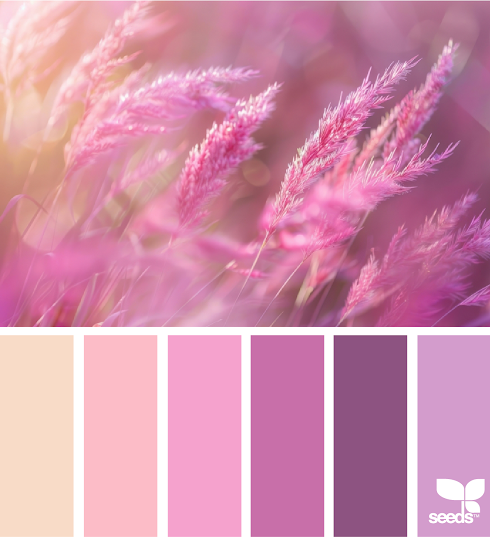 Color Nature