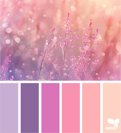 Color Nature