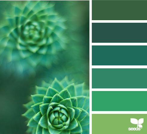 Succulent Hues