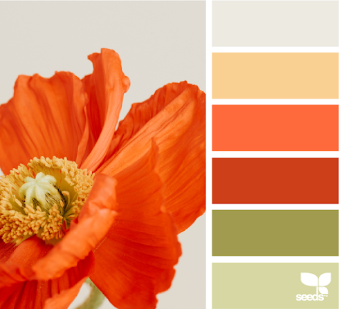 Flora Brights