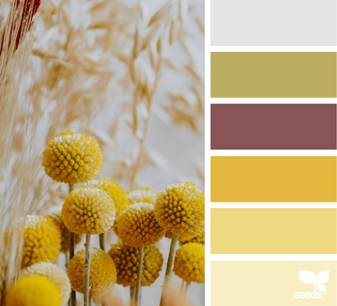 Color Nature
