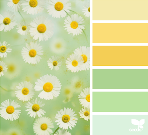 Summer Flora
