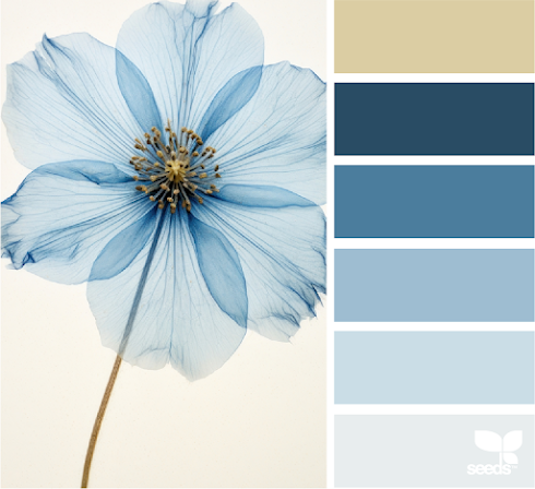 Flora Tones