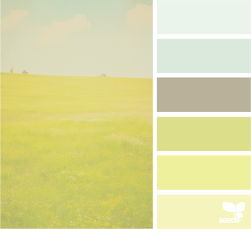 Color Field