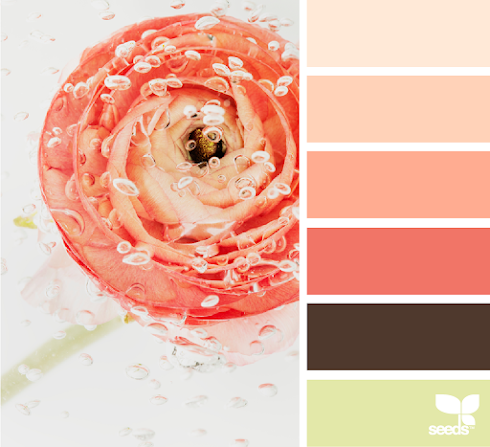 Flora Brights