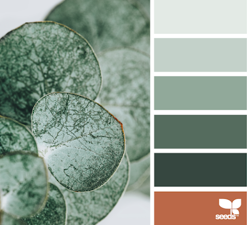 Color Nature