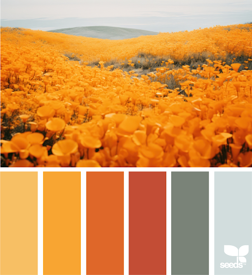 Color Wander