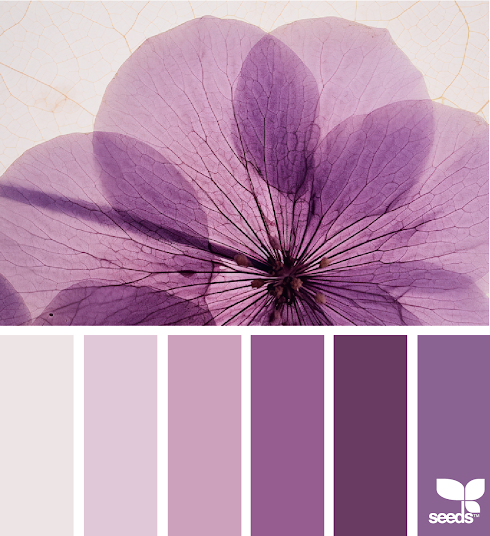 Flora Tones