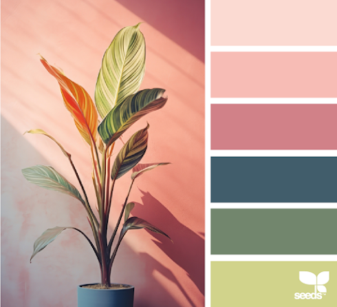 Color Nature