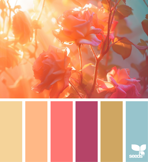 Color Rose