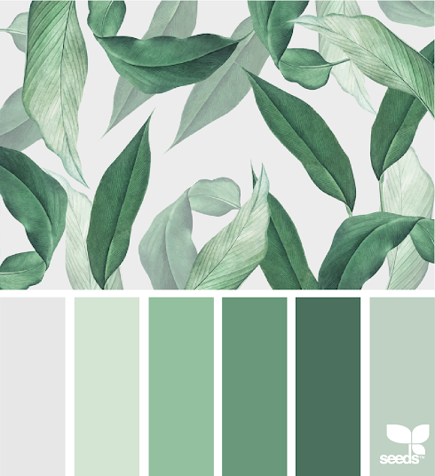 Tropical Tones