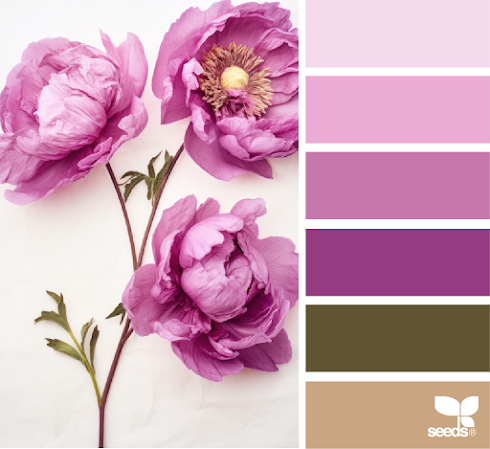 Peony Hues