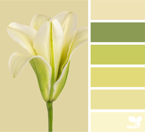 Flora Tones