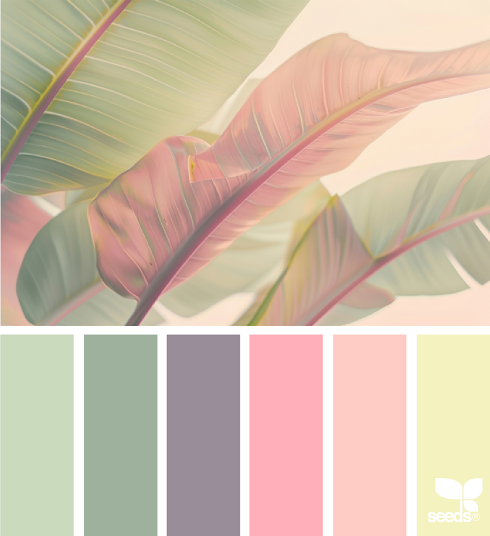 Color Nature