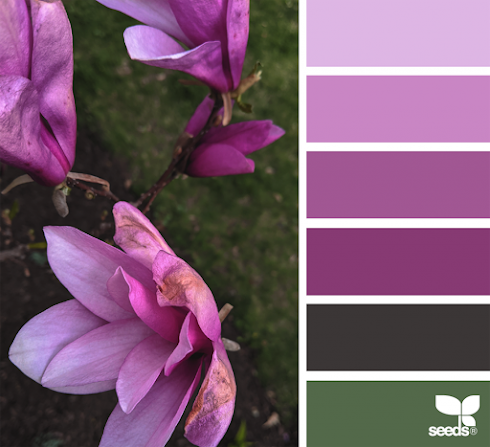 Color Magnolia