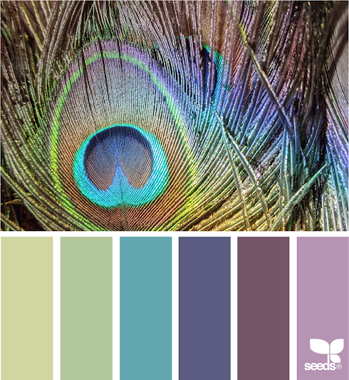 Peacock Hues