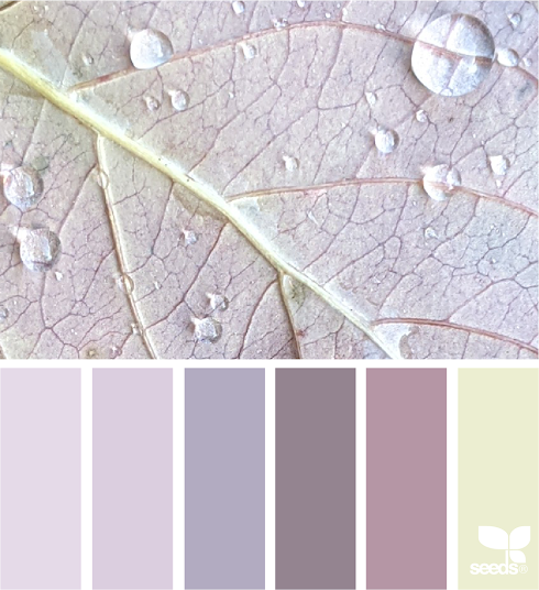 Autumn Tones