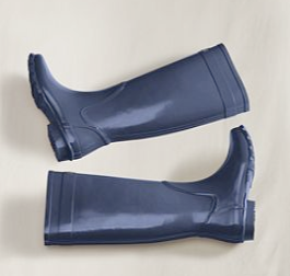wellies.png