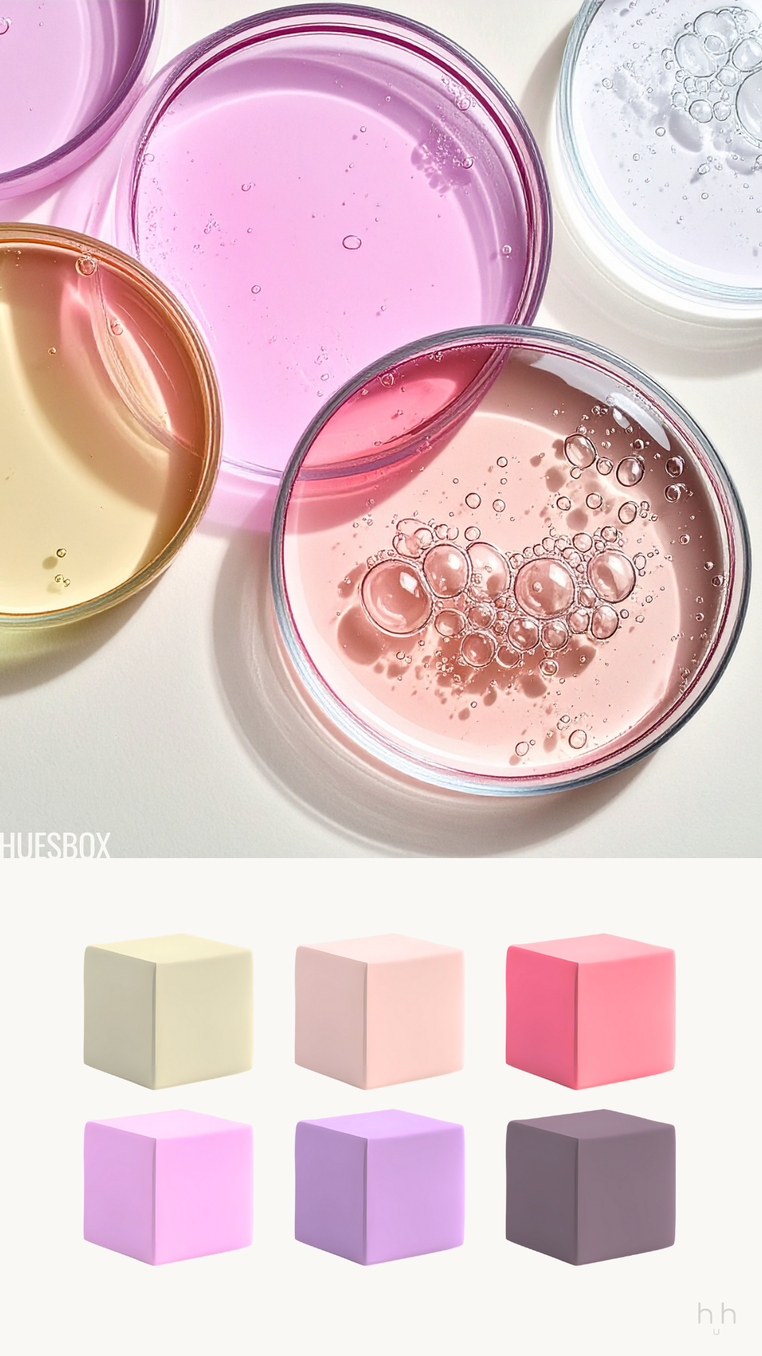 Colordrop #007 Palette