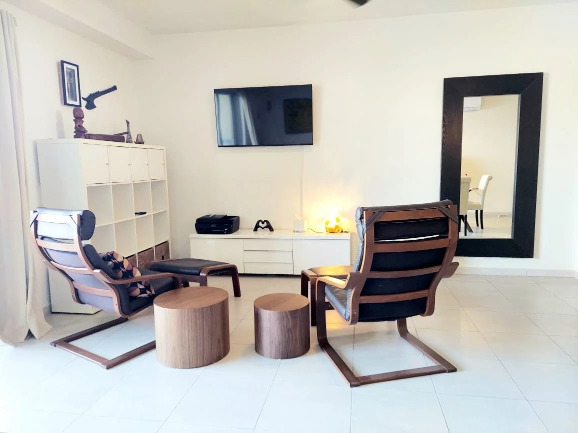 A pair of comfortable TV Chairs