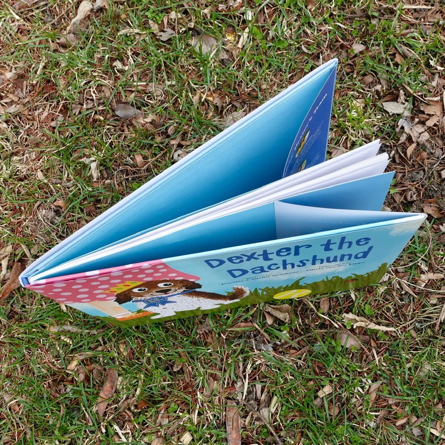7970BDE8-9CB6-445C-BCDA-9F5CE8DE3880.JPG