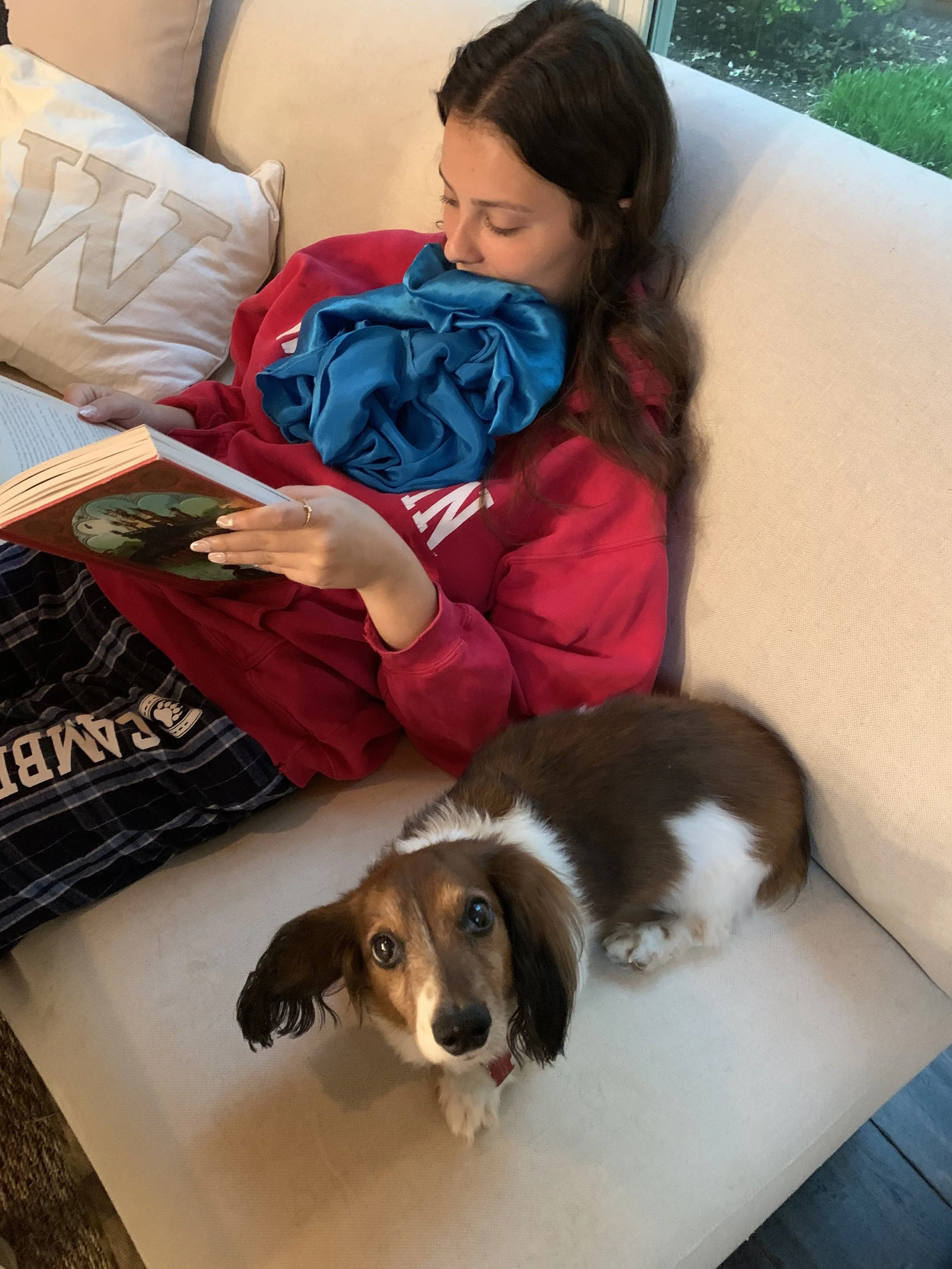 Dexter and Shelby reading Harry Potter for the first time, 2020