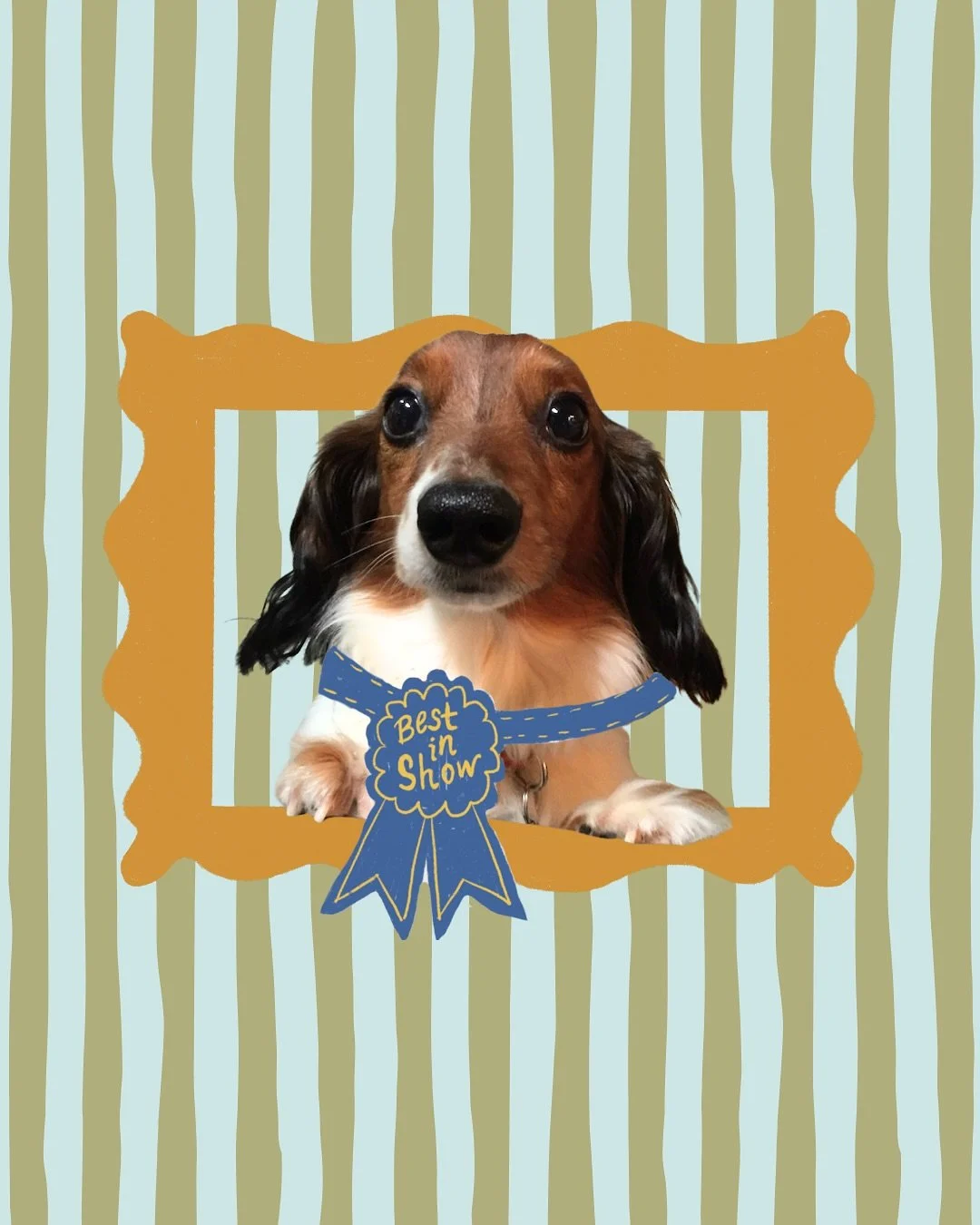 Dexter is many things: unique, sassy, spunky, (stubborn), resilient, adorable, determined, and most of all LOVED💙

On his quest to prove he&rsquo;s &ldquo;best in show&rdquo;, Dexter teaches us how to embrace our inner &ldquo;show dog,&rdquo; and wh