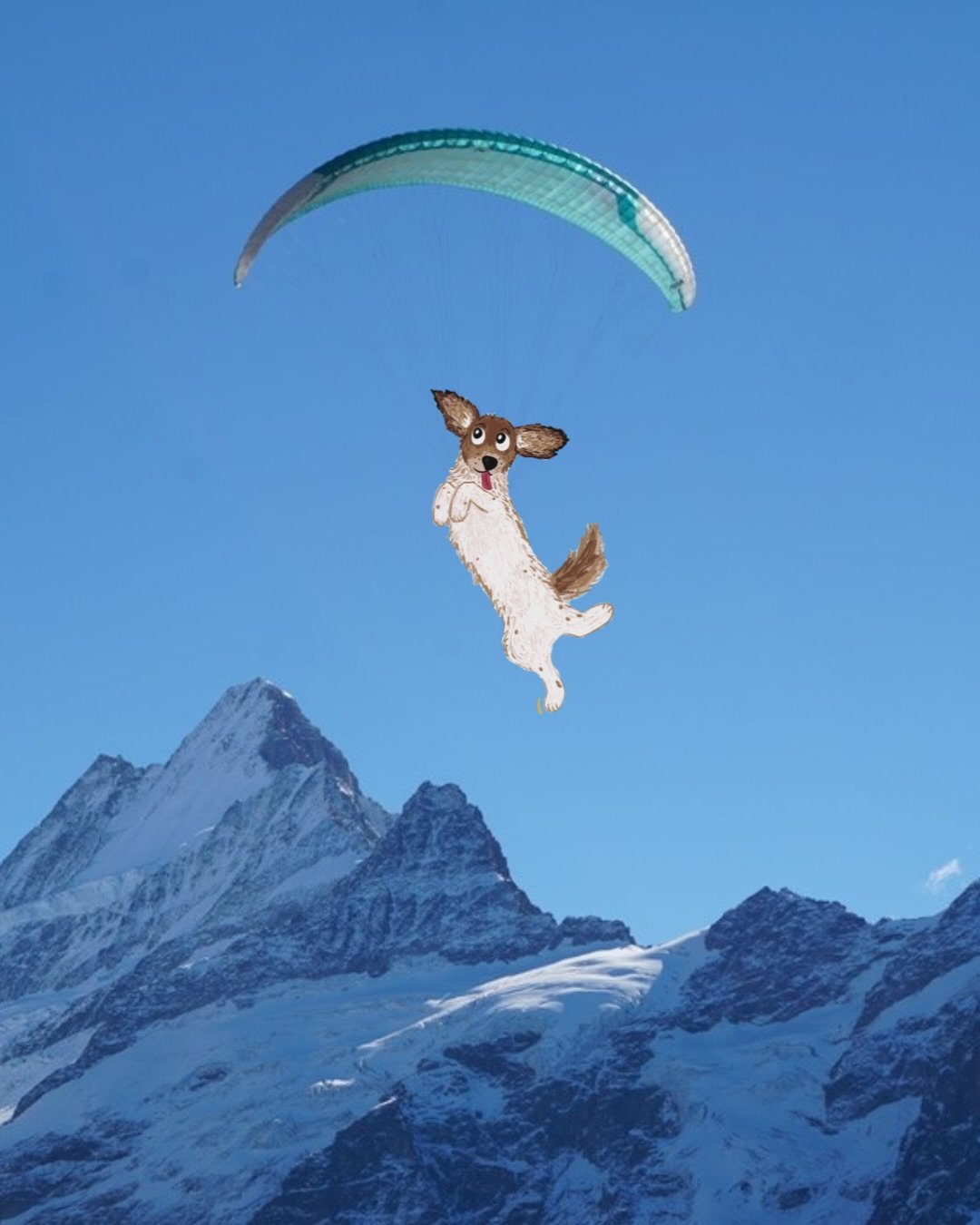 While Jen and Shelby were traveling through Austria and Switzerland, they found endless dachshund inspiration! I guess you could say Dexter and his friends are international superstars! ✨📚🐾🛫☕️🌭