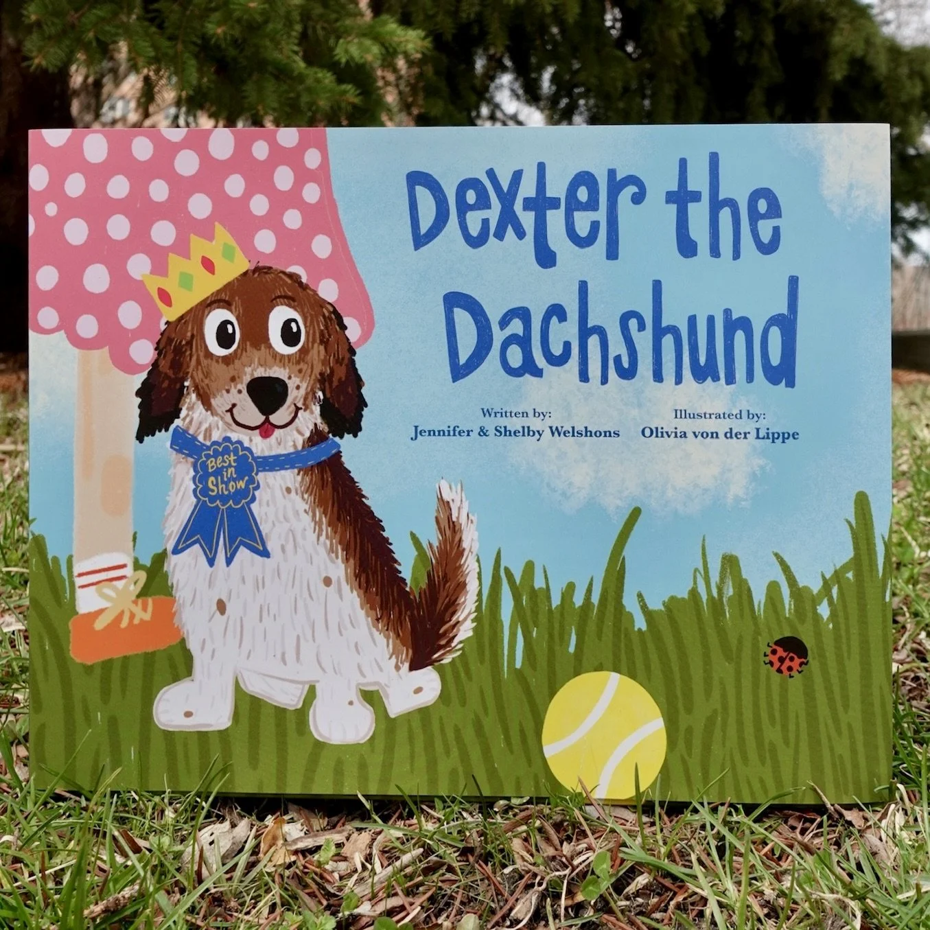 Dexter the Dachshund Book (1st Edition)